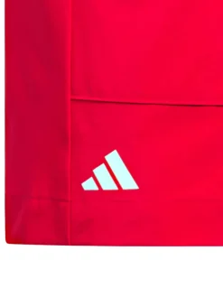 Adidas Shorts|Boys Aeroready Graphic Short - Pure Ruby