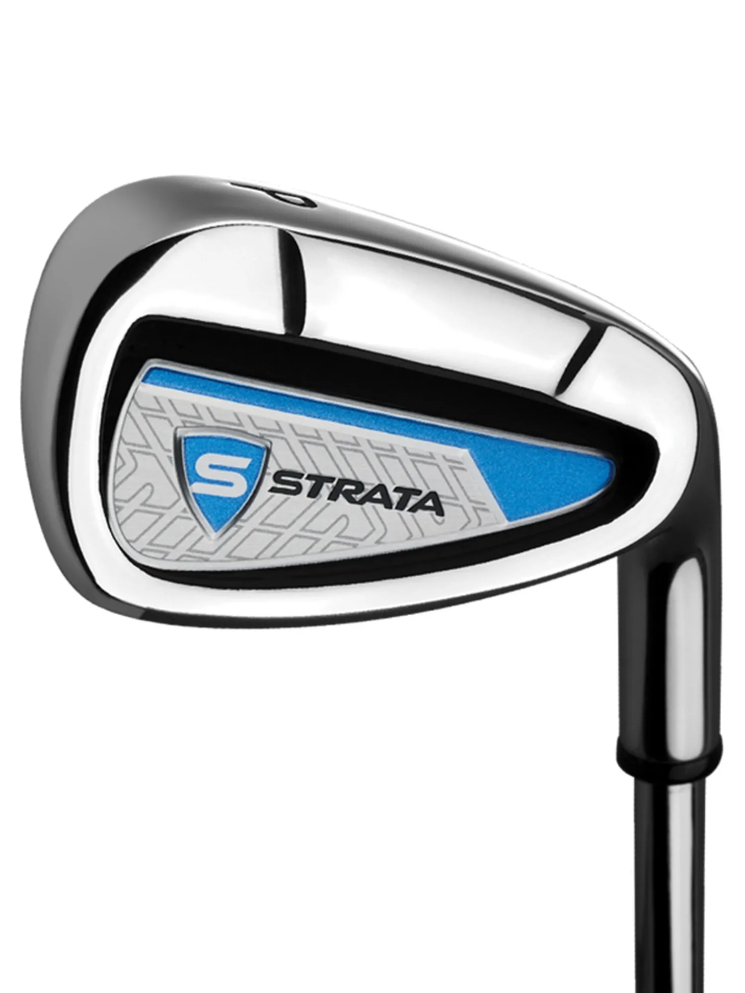 Strata Packages|12 Piece Package - Steel Shaft